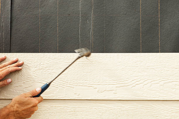 Affordable Siding Repair and Maintenance Services in Lugoff, SC
